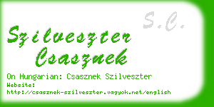 szilveszter csasznek business card